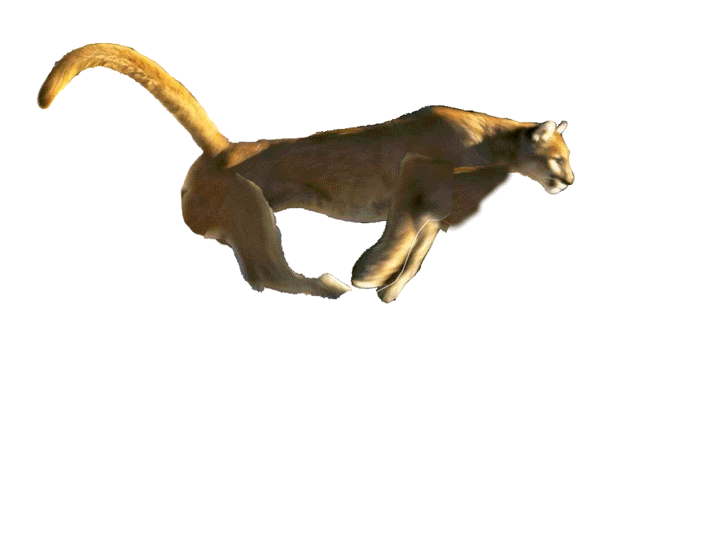 /websites/2005_2006/Block 1